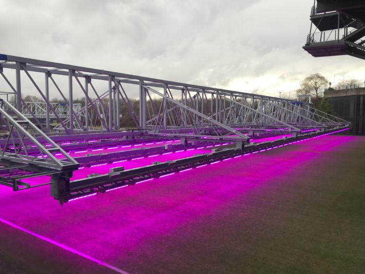 'Je past de kleur van het licht aan op basis van de behoefte van de grasmat.' 'Je past de kleur van het licht aan op basis van de behoefte van de grasmat.'