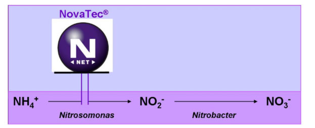  Werking Novatec Solub 21 met denitrificatieremmer