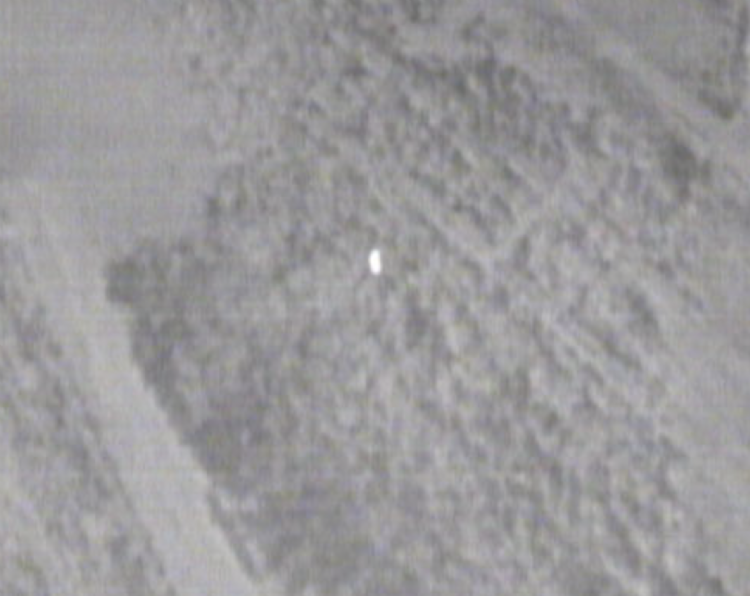 Warmtebeeld van een konijn. Krinkels heeft een flora- en fauna-inventarisatie gemaakt met een drone. Warmtebeeld van een konijn. Krinkels heeft een flora- en fauna-inventarisatie gemaakt met een drone.