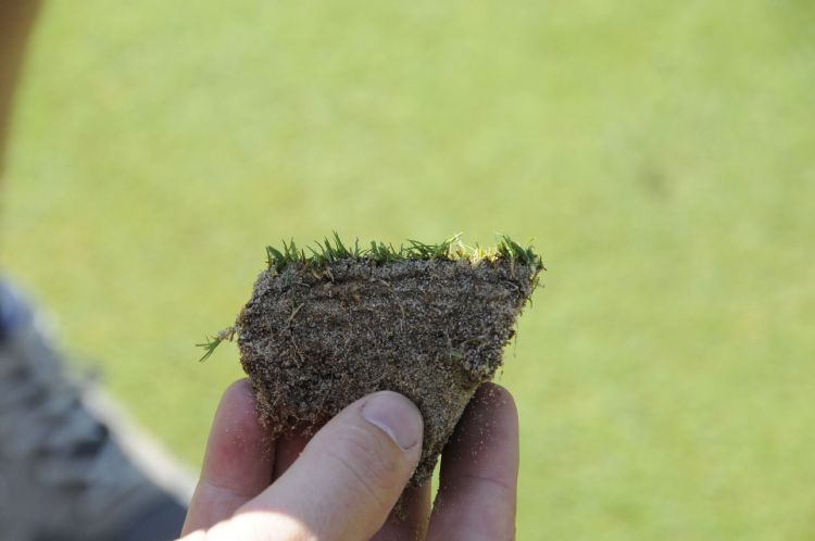 Laagjes spekkoek op Golf Stream. Laagjes spekkoek op Golf Stream.