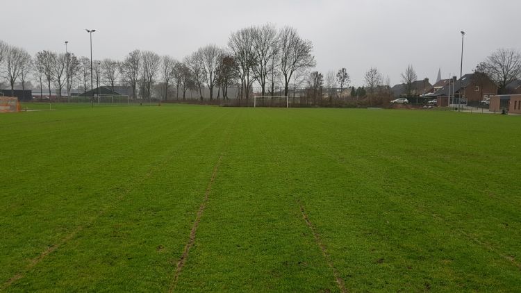 Het pilot-veld met Draintalent in Beek Het pilot-veld met Draintalent in Beek