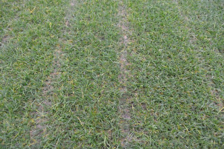 De sleuven in het veld zijn duidelijk zichtbaar. De sleuven in het veld zijn duidelijk zichtbaar.