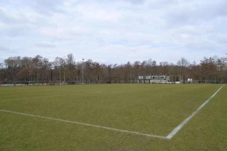 Door de coronacrisis bleven veel velden leeg.