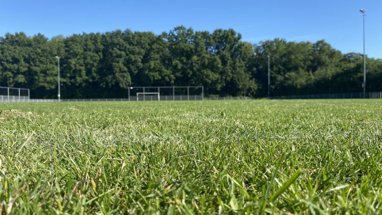 Topsport Tetra Topsport Tetra