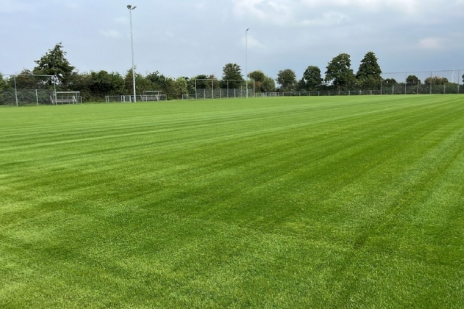 Het Grassmaster-veld op sportpark De Lytse Trije in Sexbierum, dat op 19 juli is gezaaid en inmiddels al 4 keer is gemaaid. Op 26 augustus worden de kunstgrasvezels aangebracht.