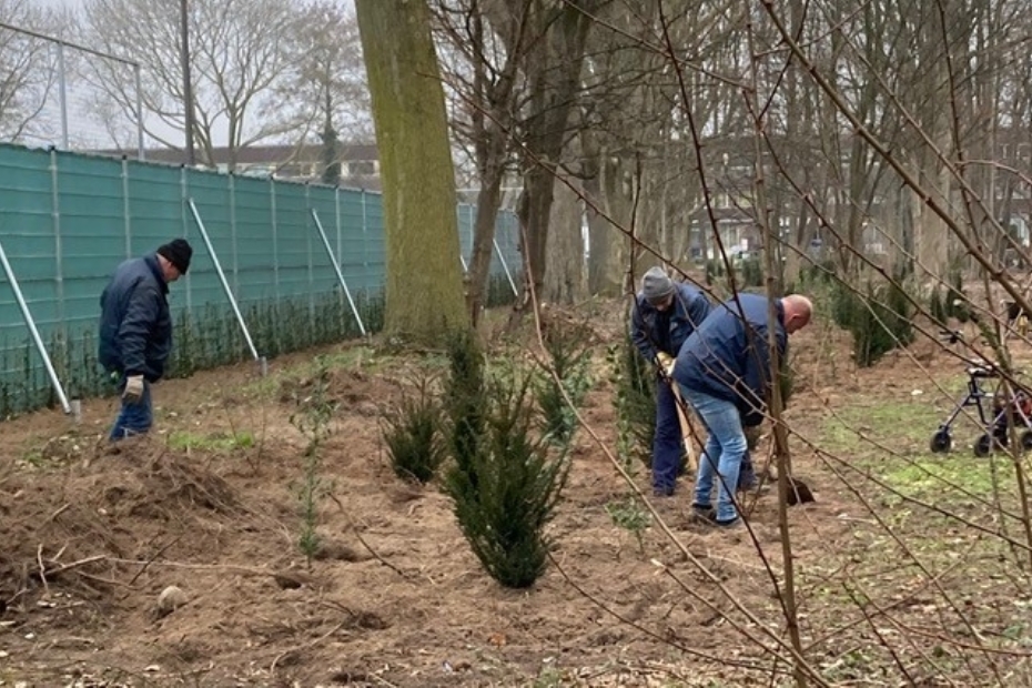 Aanplant in voorjaar 2023